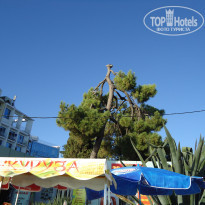 фото из отзыва ID 1632441