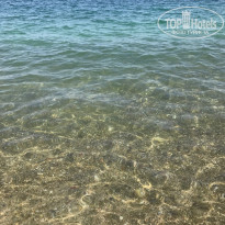 фото из отзыва ID 1632640