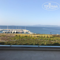 фото из отзыва ID 1632640