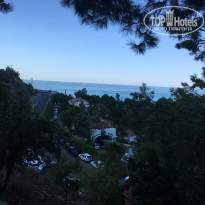 фото из отзыва ID 1632666