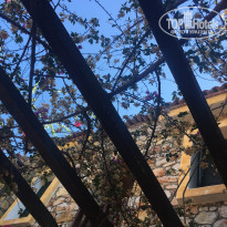 фото из отзыва ID 1632666