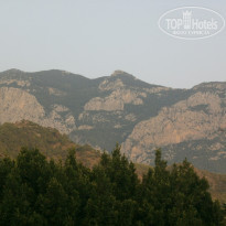 фото из отзыва ID 1632951