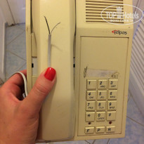 фото из отзыва ID 1632966