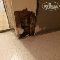 фото из отзыва ID 1632966