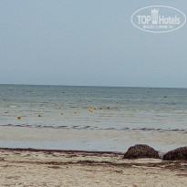 фото из отзыва ID 1632985