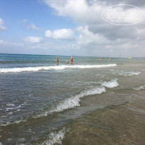 фото из отзыва ID 1633111