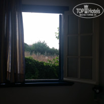 фото из отзыва ID 1633195