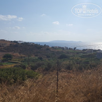 фото из отзыва ID 1633195