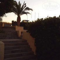 фото из отзыва ID 1633195