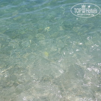 фото из отзыва ID 1633195