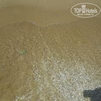 фото из отзыва ID 1633195