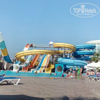 фото из отзыва ID 1633209