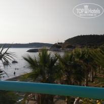 фото из отзыва ID 1633210