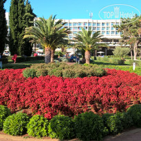 фото из отзыва ID 1633265