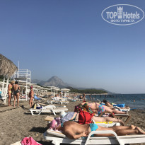 фото из отзыва ID 1633263