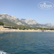 фото из отзыва ID 1633263