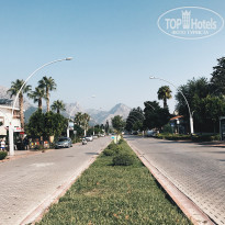 фото из отзыва ID 1633263