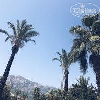 фото из отзыва ID 1633263