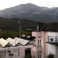 фото из отзыва ID 1633263