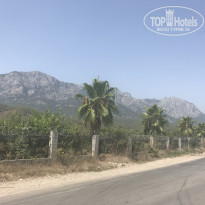 фото из отзыва ID 1633263