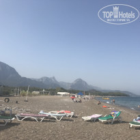 фото из отзыва ID 1633263