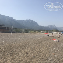 фото из отзыва ID 1633263