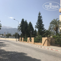 фото из отзыва ID 1633263