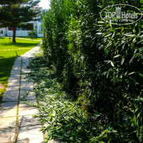 фото из отзыва ID 1633337