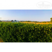 фото из отзыва ID 1633337