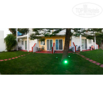 фото из отзыва ID 1633337