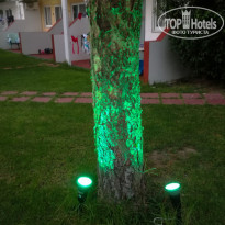 фото из отзыва ID 1633337