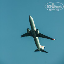 фото из отзыва ID 1633337