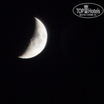 фото из отзыва ID 1633337