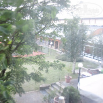 фото из отзыва ID 1633466