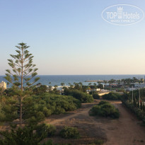 фото из отзыва ID 1633479