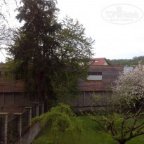 фото из отзыва ID 1633562