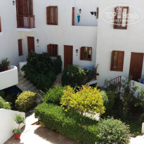 фото из отзыва ID 1633586