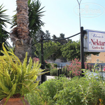 фото из отзыва ID 1633594