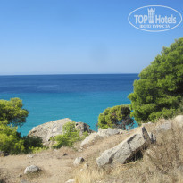 фото из отзыва ID 1633610