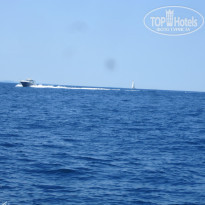 фото из отзыва ID 1633610