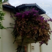 фото из отзыва ID 1634012