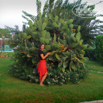 фото из отзыва ID 1634112