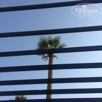 фото из отзыва ID 1634416