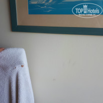 фото из отзыва ID 1634475