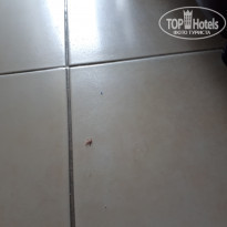 фото из отзыва ID 1634475