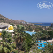 фото из отзыва ID 1630579