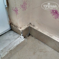 фото из отзыва ID 1634921