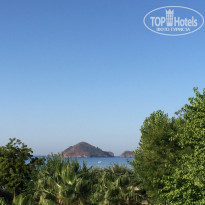 фото из отзыва ID 1634965