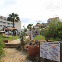 фото из отзыва ID 1635147