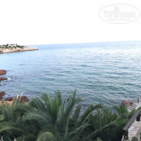 фото из отзыва ID 1635251